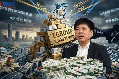 Phơi bày kịch bản xảo quyệt của Shark Thủy khiến hơn 10.000 người 'ngậm trái đắng'