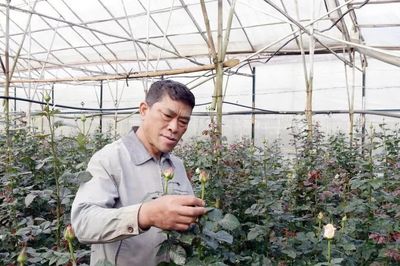Bí thư chi bộ người K'Ho tiên phong làm giàu dưới chân đỉnh Langbiang