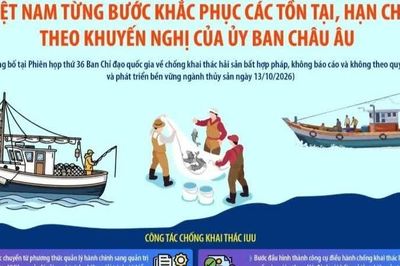 Việt Nam từng bước khắc phục các tồn tại, hạn chế theo khuyến nghị EC