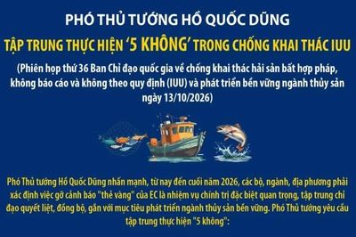 Tập trung thực hiện '5 không' trong chống khai thác IUU