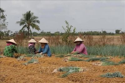 Trao sinh kế, tạo đà thoát nghèo bền vững