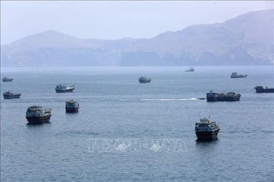 Thêm 2 tàu bị tấn công ở eo biển Hormuz