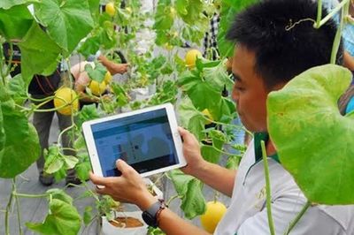 Hà Nội 'cầm tay chỉ việc' hỗ trợ nông dân, hợp tác xã chuyển đổi số