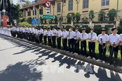 Sắc hoa cúc trắng đón những người lính trở về
