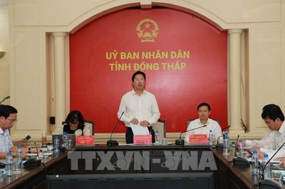 Đồng Tháp giảm 65,1% đầu mối trường học sau sắp xếp