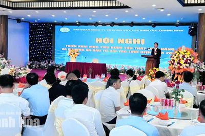 Công ty Cổ phần Xây lắp Điện lực Thanh Hóa phấn đấu giảm tổn thất điện năng xuống dưới 6% vào cuối năm 2026