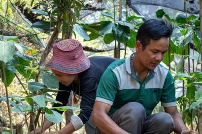 Đà Nẵng 'số hóa sản phẩm', phát triển du lịch cộng đồng nông thôn miền núi