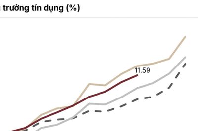 SSI Research: Không nên kỳ vọng quá nhiều vào việc giảm lãi suất