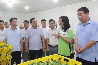 Nhân 96 năm Ngày thành lập Hội Nông dân Việt Nam 14/10 (1930 - 2026): Phát huy vai trò nông dân trong phát triển kinh tế nông thôn