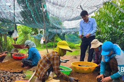Nông dân Đà Nẵng đổi mới tư duy, nâng tầm phát triển