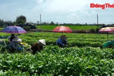 Phú Thành: Hội tụ nguồn lực phát triển nông nghiệp hiện đại