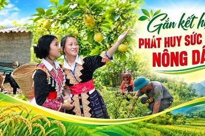 Gắn kết hội viên, phát huy sức mạnh nông dân