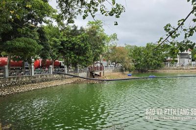 Đưa môi trường xanh trở lại