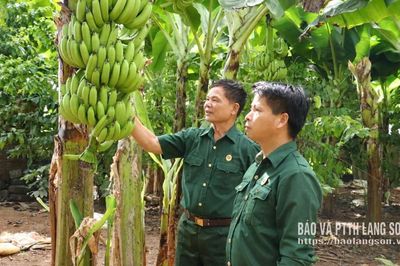 Tiếp sức hội viên phát triển kinh tế