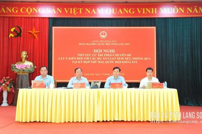 Đoàn đại biểu Quốc hội tỉnh lấy ý kiến đối với các dự án luật thuộc lĩnh vực văn hóa, thể thao và du lịch