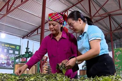 Tiếp sức cho phụ nữ làm chủ hợp tác xã