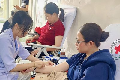 Lâm Đồng tiếp nhận 119 đơn vị máu tình nguyện