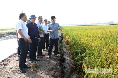 Lãnh đạo UBND tỉnh kiểm tra sản xuất lúa mùa và kiểm tra thực địa Khu đô thị nghỉ dưỡng, sinh thái, vui chơi giải trí biển Quất Lâm