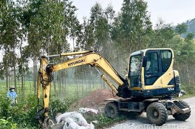 Lập Thạch xử lý vụ vứt 18 con lợn chết ra môi trường
