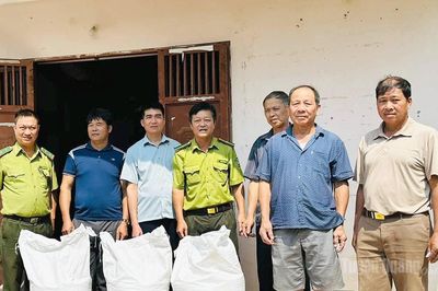 Hỗ trợ hơn 4.360kg gạo cho người dân tham gia bảo vệ rừng trên địa bàn xã Hòa An