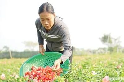 Hỗ trợ phụ nữ khởi nghiệp đi xa hơn