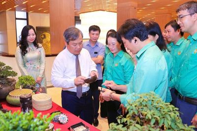 Hà Nội yêu cầu gắn thu hồi đất với đào tạo nghề, tạo việc làm