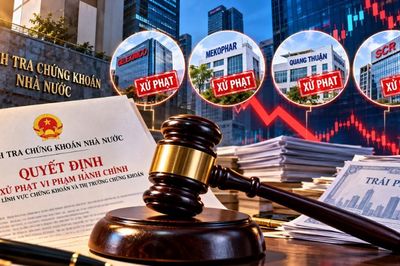 Geleximco, Mekophar cùng 2 doanh nghiệp bị xử phạt, vi phạm tập trung vào điều gì?