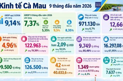 Kinh tế Cà Mau 9 tháng: Xuất khẩu hơn 2 tỷ USD, có 42 dự án đầu tư mới