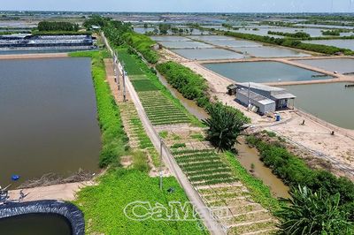 Xây dựng nông thôn mới: Ý Ðảng thoả lòng dân