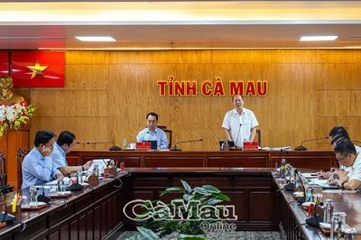 Cà Mau đẩy nhanh xử lý nhà, đất dôi dư, chống lãng phí tài sản công