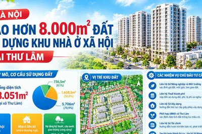Hà Nội giao hơn 8.000m² đất xây dựng khu nhà ở xã hội tại Thư Lâm