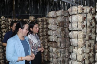 Nông dân xã Phú Xuyên đổi mới tư duy sản xuất, bứt phá kinh tế bền vững