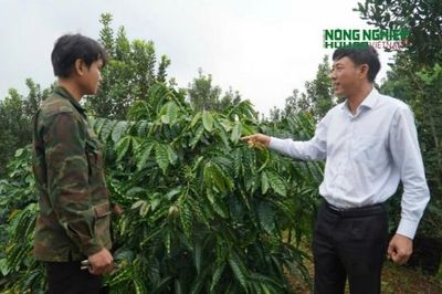 Người nông dân Quảng Trực vững vàng nơi phên dậu Tổ quốc