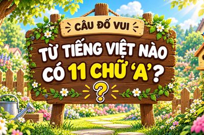 Nghĩ mãi không ra: Từ tiếng Việt nào có 11 chữ 'A'?