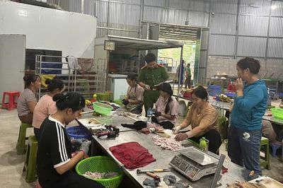 Lạng Sơn phát hiện hơn 5 tấn chân gà không rõ nguồn gốc