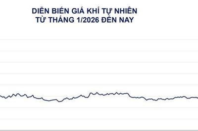 Nguồn cung LNG thắt chặt, ngô Mỹ chịu sức ép vụ mùa dồi dào
