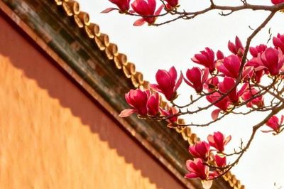 Giờ sinh Âm lịch của người tốt tính, đi đâu cũng được yêu quý