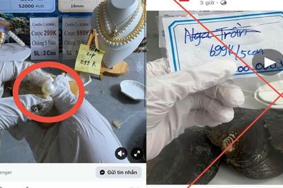 Chiêu trò livestream 'mở ngọc trai': Hứa lãi tiền tỷ, coi chừng sập bẫy mất trắng