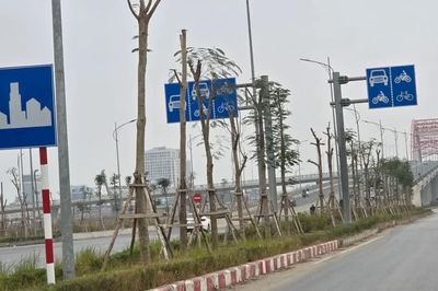 Sửa đổi hệ thống biển chỉ dẫn, báo hiệu trên cao tốc