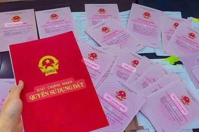 Ngoài 'rắc thóc lùa gà', 'Shark' Bình còn 'phù phép' sổ sách kế toán để trục lợi
