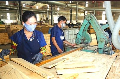 Tháo gỡ rào cản luật để mở rộng xuất khẩu