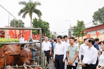Hướng tới Tháng cao điểm vì người nghèo: Từ mái nhà đại đoàn kết đến sinh kế bền vững