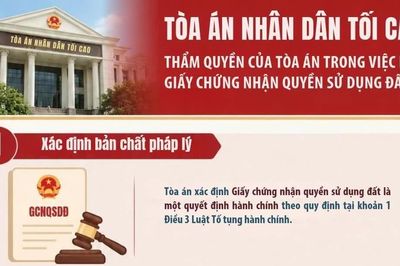 [Infographic] Thẩm quyền của Tòa án trong việc hủy Giấy chứng nhận quyền sử dụng đất