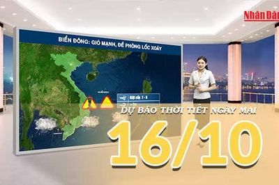 [Video] Dự báo thời tiết đêm nay và ngày mai 16/10/2026: Không khí lạnh tiếp tục suy yếu tại Bắc Bộ và Trung Bộ, Nam Bộ đề phòng mưa dông