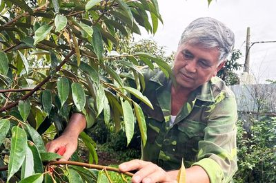 Cựu chiến binh là nhà nông tỷ phú