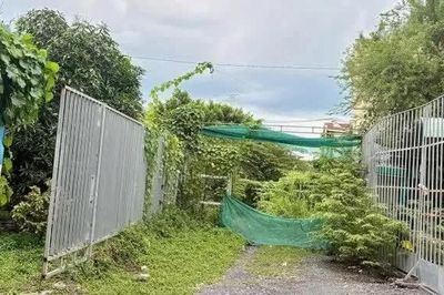 Vụ 'Đất đã cưỡng chế bàn giao, sao còn tranh chấp kéo dài?': Kiểm tra, xử lý trách nhiệm công chức tham mưu giải quyết hồ sơ chậm trễ