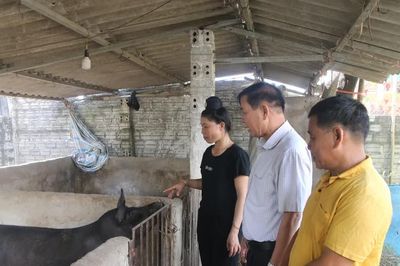 Mở hướng sinh kế cho lao động dân tộc thiểu số ở Thanh An