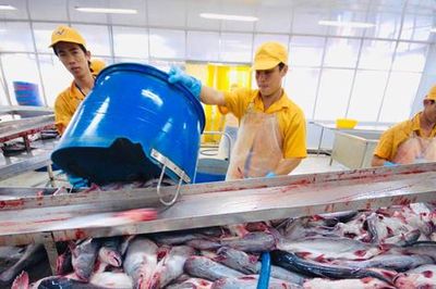 Xuất khẩu cá tra sang Trung Đông tăng trưởng, Ả Rập Xê Út dẫn đầu với mức tăng 52%
