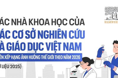 Các nhà khoa học Việt Nam trên bảng xếp hạng ảnh hưởng thế giới năm 2026