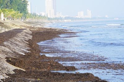 Cảnh khác lạ trên đoạn bờ biển dài 1km ở Cửa Lò